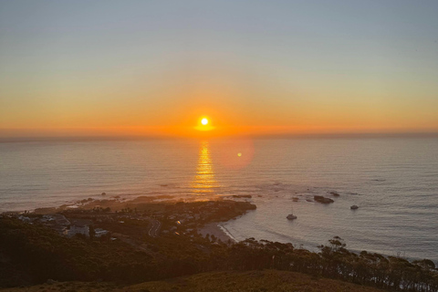 Cape Town: Chapman’s Peak Drive Private Scenic Tour