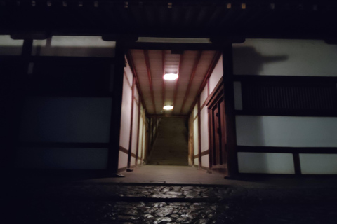 Nara: descubre la belleza atemporal en un tranquilo paseo nocturno.Nara: descubre la belleza atemporal en un tranquilo paseo nocturno