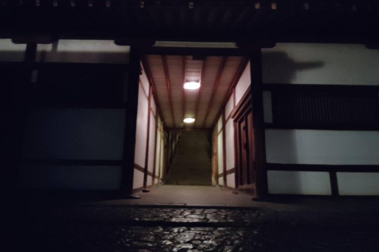 Nara: descubre la belleza atemporal en un tranquilo paseo nocturno.Nara: descubre la belleza atemporal en un tranquilo paseo nocturno