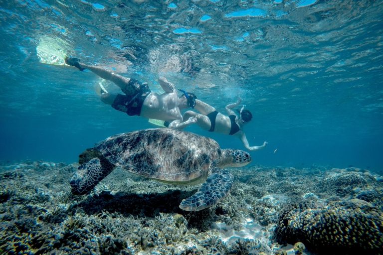 Gili Trawangan : demi-journée de plongée en apnée avec tortue et statue