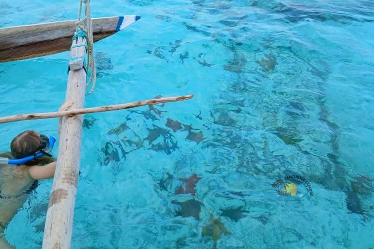 Zanzibar: Traditional Boat Snorkeling Starfish & Sunset Trip Meeting Point – Full Inclusions (No Hotel Transfers)
