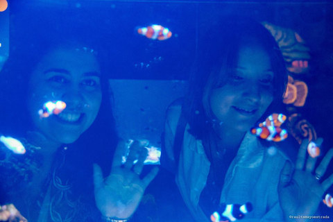 Río de Janeiro: ticket de entrada a AquaRio