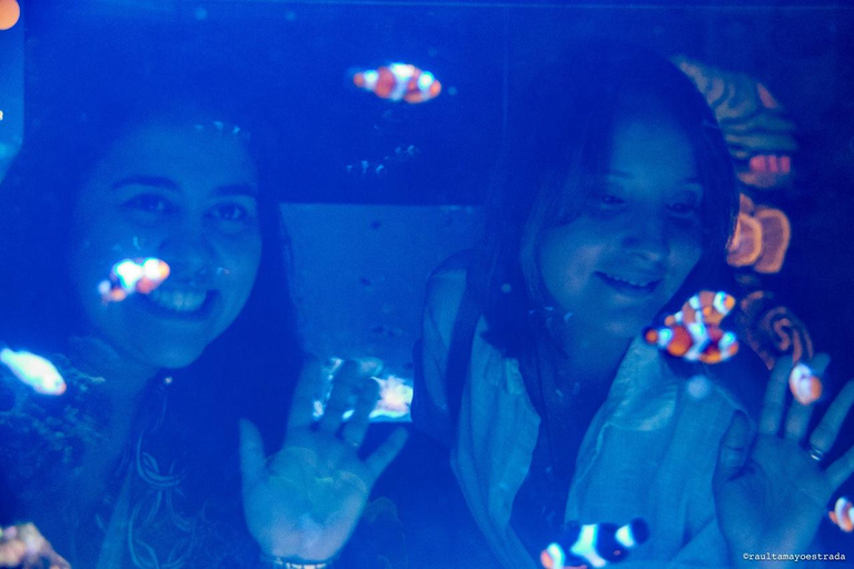 Río de Janeiro: ticket de entrada a AquaRio