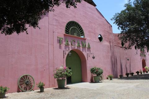 Ica: Tour de Pisco | Tacama, Arrabal, Bodega Lovera | Você pode fazer um tour de Pisco em Ica.