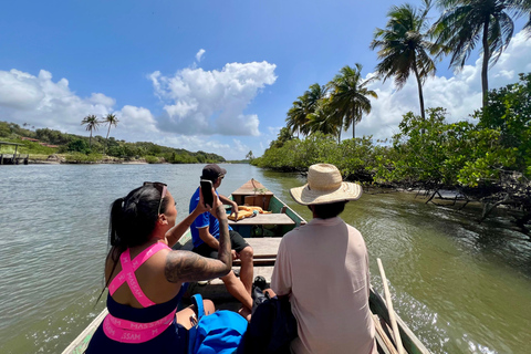 Pipa, Brazil. 3-Day Eco-Retreat, Nature & Local Culture Immersion ticket
