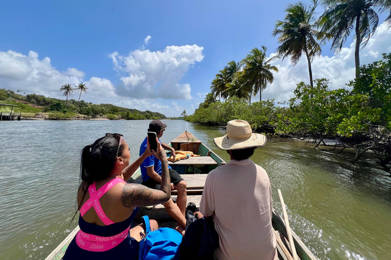 Pipa, Brazil. 3-Day Eco-Retreat, Nature & Local Culture Immersion ticket