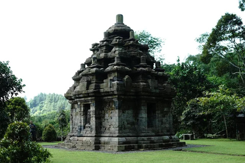 Avventura al Tempio di Selogriyo: trekking tra risaie e rafting sul fiume EloAvventura al tempio di Selogriyo: trekking nella risaia e rafting sul fiume Elo