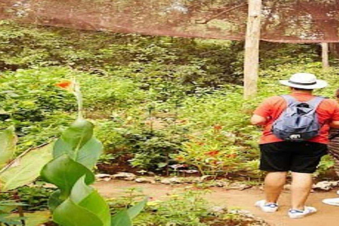 Zanzibar: Jozani forest and Butterfly day tour TOUR WITH TRANSFER (HOTEL PICK-UP AND DROP-OFF)