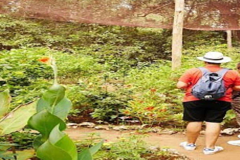 Zanzibar: Jozani forest and Butterfly day tour TOUR WITH TRANSFER (HOTEL PICK-UP AND DROP-OFF)