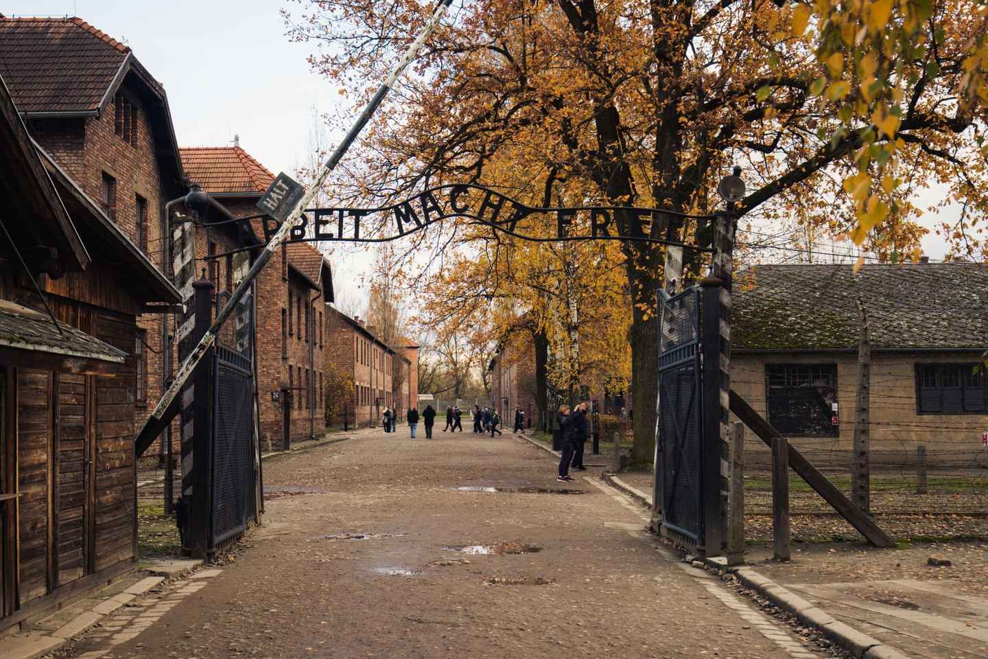 From Krakow: Auschwitz-Birkenau Tour with Transfer