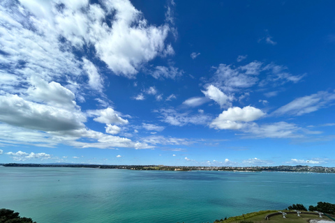 Le cœur d&#039;Auckland : visite privée d&#039;une demi-journée de la ville