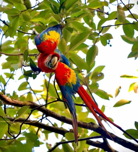 Marino Ballena National Park Private Naturalist Hike