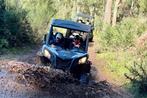 Madeira: Tour de medio día en buggy todoterreno