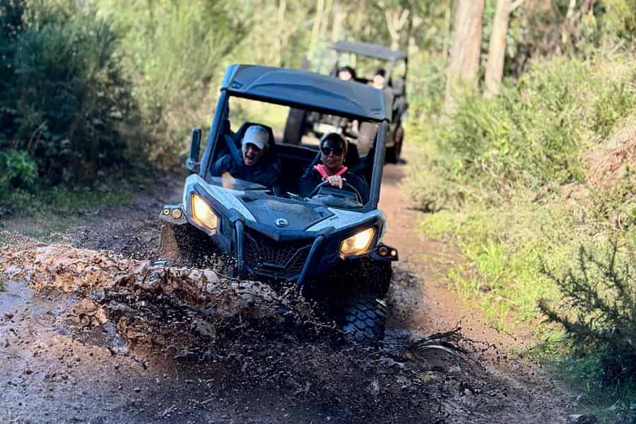 Madeira: Halbtagestour mit dem Geländewagen. Foto: GetYourGuide