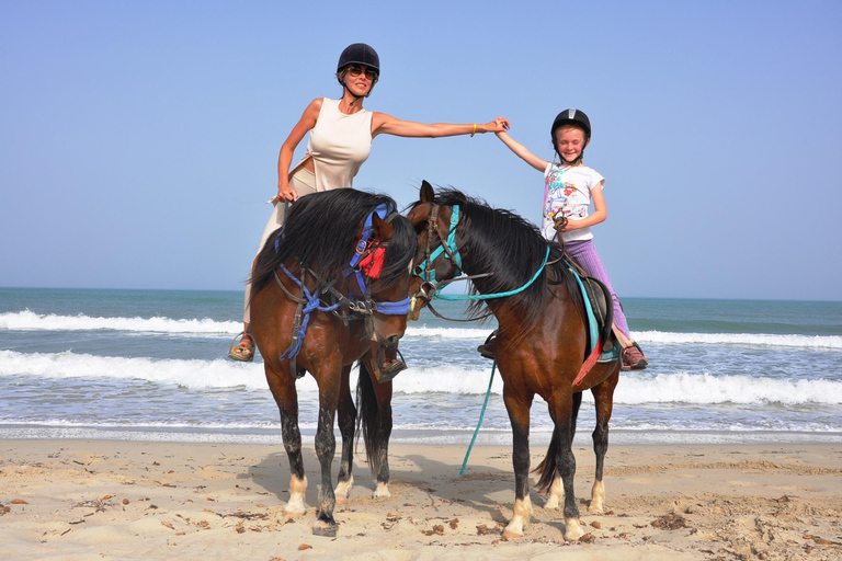 DJERBA : Paseo a caballo privado (2h).