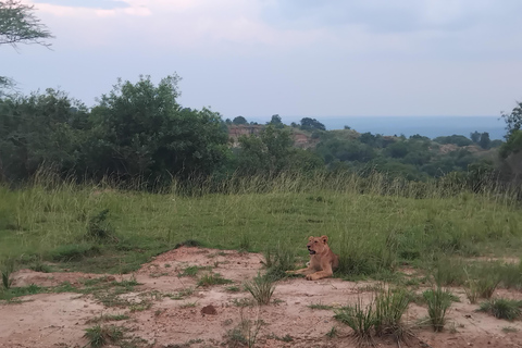 Parque de las cataratas Murchison: Safari de 3 días con el Santuario de Rinocerontes Ziwa