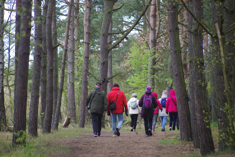 Verken het eiland Sobieszewo: Natuurwandeling &amp; Wildlife Tour