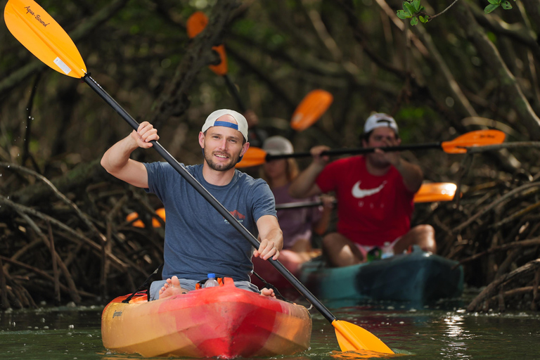 Sarasota: Guided Mangrove Tunnel Kayak Tour Lido Key