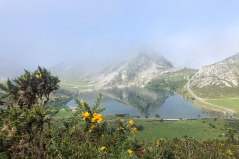 Covadonga y Lagos y Costa Occidental Tour Privado