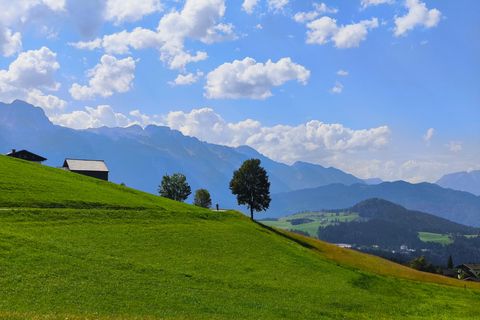 Salzkammergut: Guided e-bike tour to the alpine pastures in Gosau and Hallstatt