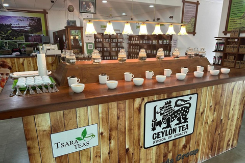 Tea Factory Tour with Tea Tasting , Pickup and Drop off