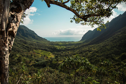 Oahu: Kualoa Open Air Jungle Expedition Tour