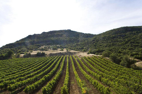 From Corinth: Ancient Corinth and Nemea Half-Day Experience