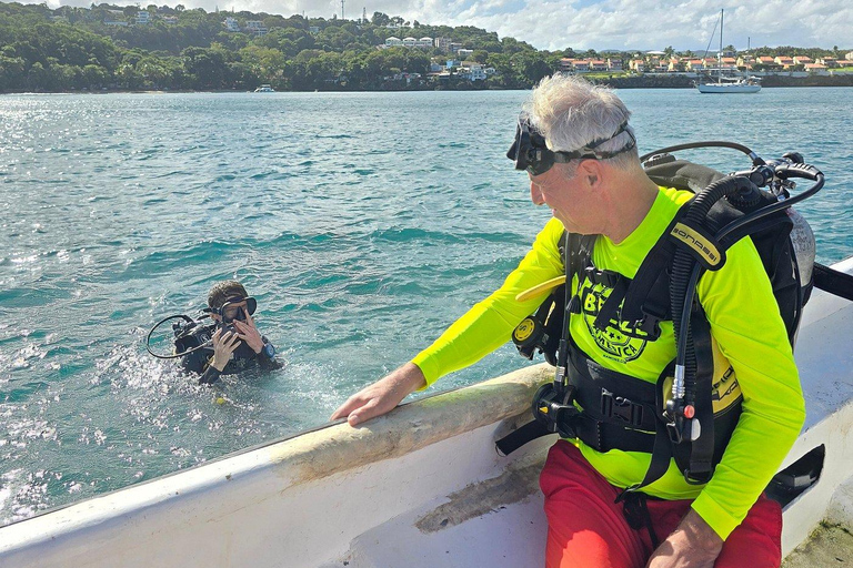 Scuba Diving in Puerto Plata Scuba Dive + Transport