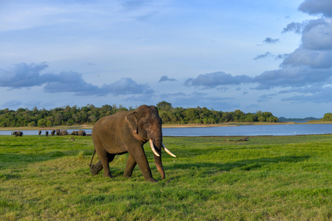 Sri Lanka: Private Car, Van, or Coach with Driver