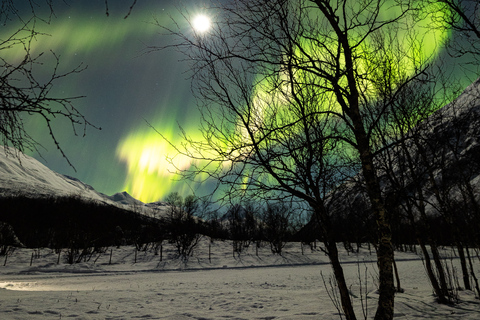 Tromsö: Norrskenstur med fotograf