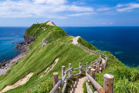 From Sapporo: Shakotan Coast, Cape Kamui and Otaru Day Trip - Image 2