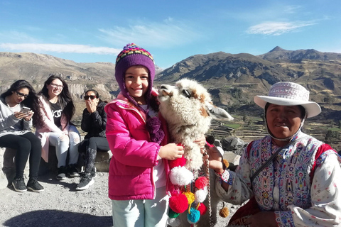 Aanbieding Prijs: Colca Canyon één dag in Arequipa met ontbijt