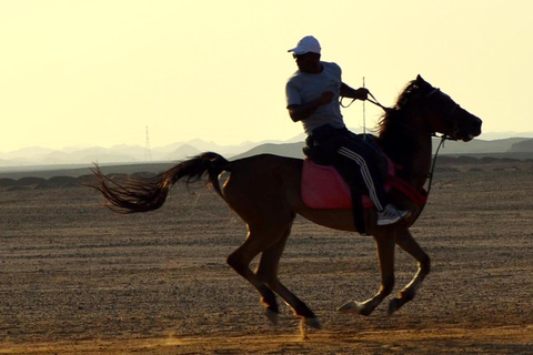 Marsa Alam : Coucher de soleil à cheval avec dîner, spectacle et observation des étoiles