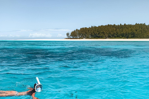 Zanzíbar: Excursión con delfines, snorkel y banco de arena