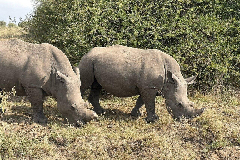 Mombasa/Diani: Private Overnight Tsavo East Safari