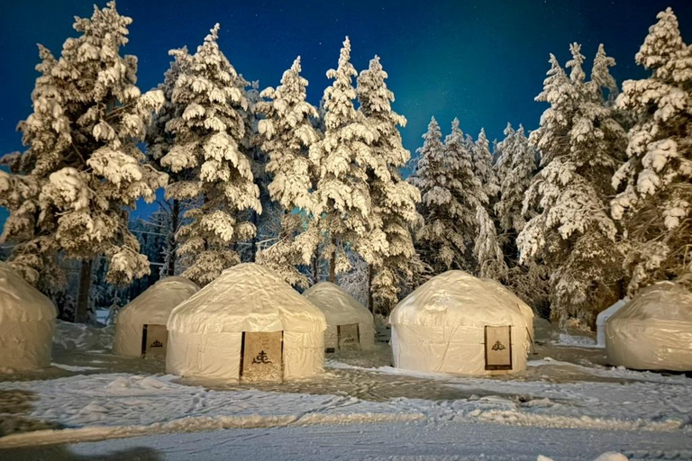 Levi: Northern Lights Yurt Dinner & Arctic Village
