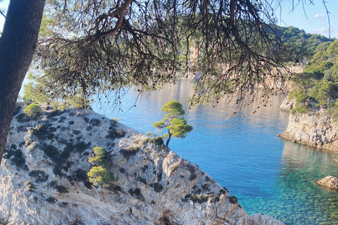 Dubrovnik: Eilandtour met privébootVOLLE DAG (8 uur) Dubrovnik: Eilandtour met privéboot