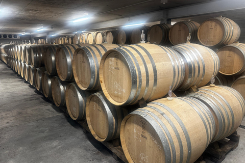 Auckland: Visita panorâmica de degustação de vinhos com almoçoAuckland: Tour panorâmico de degustação de vinhos com almoço