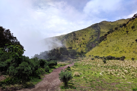 Von Yogyakarta aus: Berg Merbabu Ein-Tages-Wandertour