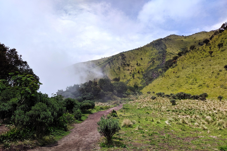 Von Yogyakarta aus: Berg Merbabu Ein-Tages-Wandertour