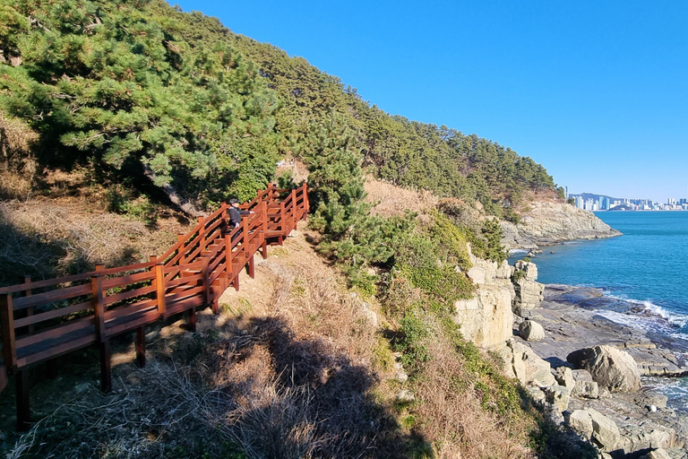 Busan Igidae Coastal Walk & Korean Pancake Experience Wednesday Afternoon Schedule (2 PM Start)