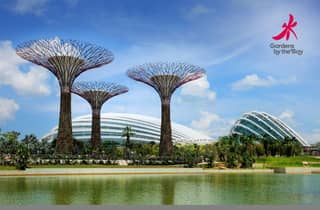 Ticket für die Gardens by the Bay mit Mittagessen vom Buffet im The Rise