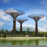 Gardens by the Bay Ticket with Buffet Lunch at RISE Gardens by the Bay Ticket with Buffet Lunch at RISE