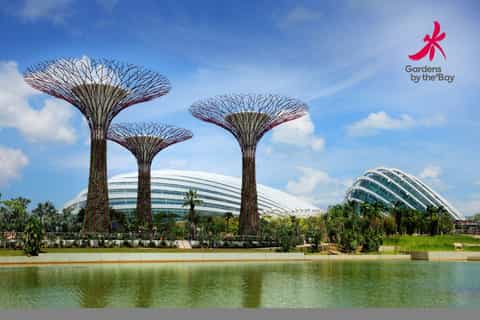 Gardens by the Bay Ticket with Buffet Lunch at RISE - Image 3