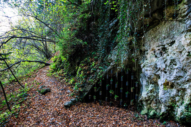 Randonnée d&#039;automne à Innsbruck