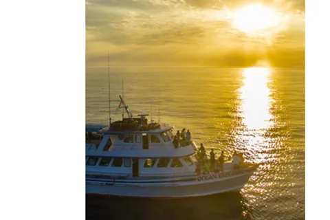 Entspannende Kreuzfahrt bei Sonnenuntergang in Newport Beach