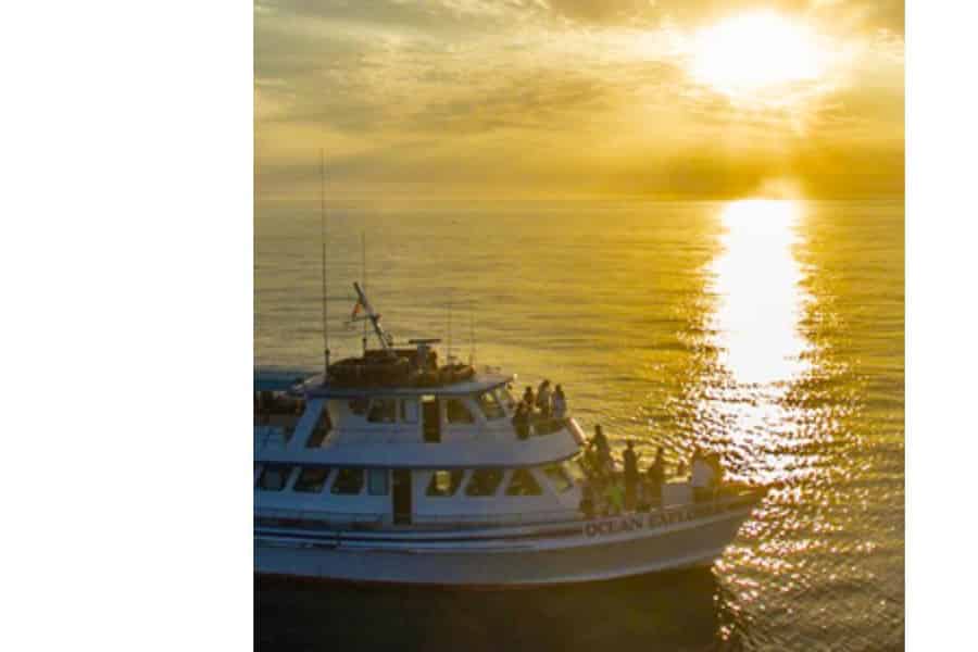 Entspannende Kreuzfahrt bei Sonnenuntergang in Newport Beach. Foto: GetYourGuide