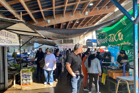 Casablanca: Private Wine Tour at Estancia El Cuadro, Valparaíso, Viña del Mar