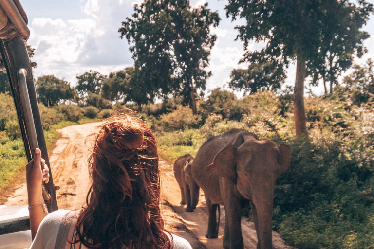 Transfer Hikkaduwa/Galle/Mirissa to Ella in Udawalawa Safari