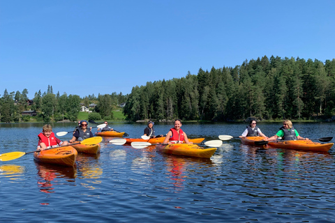 Oslo: Guided Kayak Tour on Lake Langen with Lunch